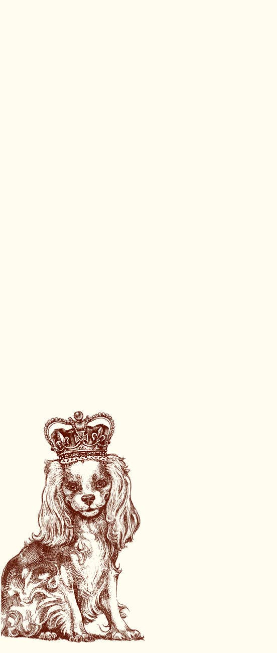 Le Alexa Pulitzer - King Charles Long Pad