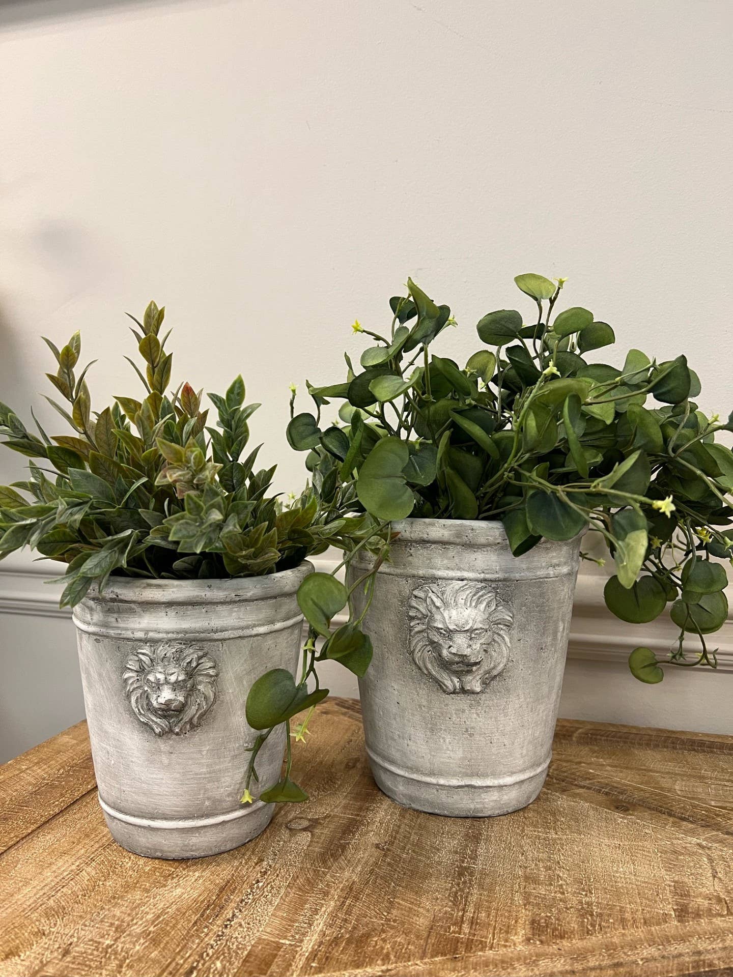 Le Menagerie - Cement Lion Planter