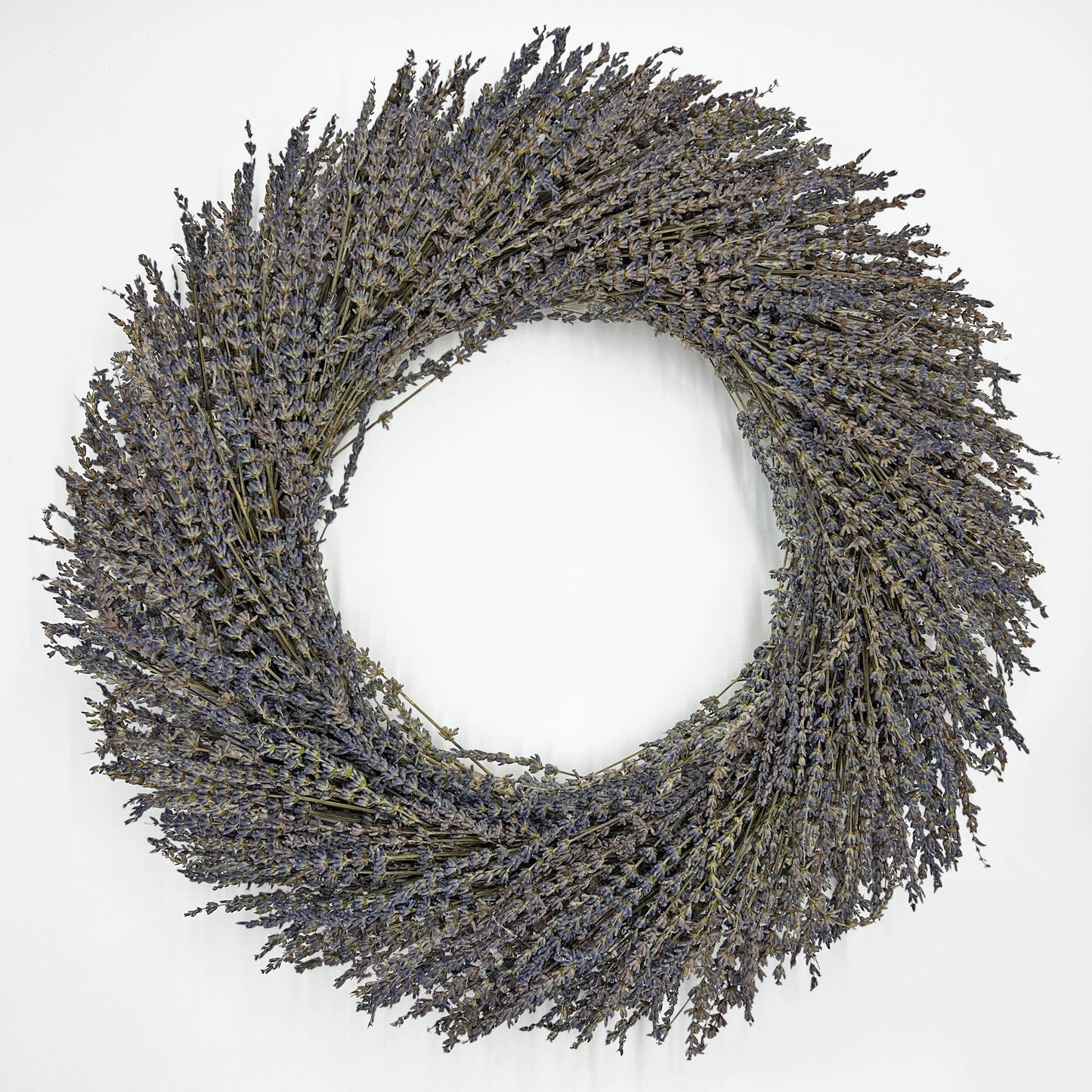 Le Menagerie - Real Preserved Dried Lavender Decorative Wreath in Purple