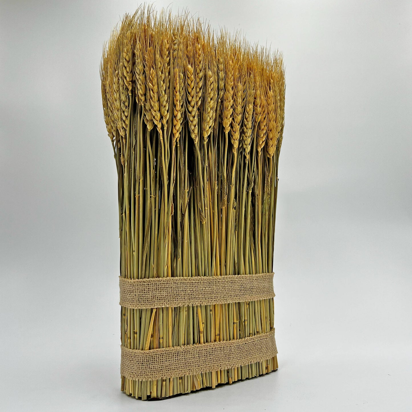 Le Menagerie - Preserved Decorative Wheat Standing Plant - Gold