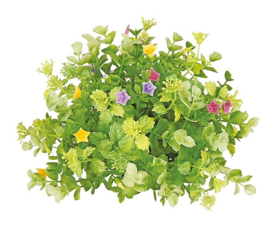 Le Menagerie - Mixed Euc, Boxwood, Flower, Half Dome, 9"