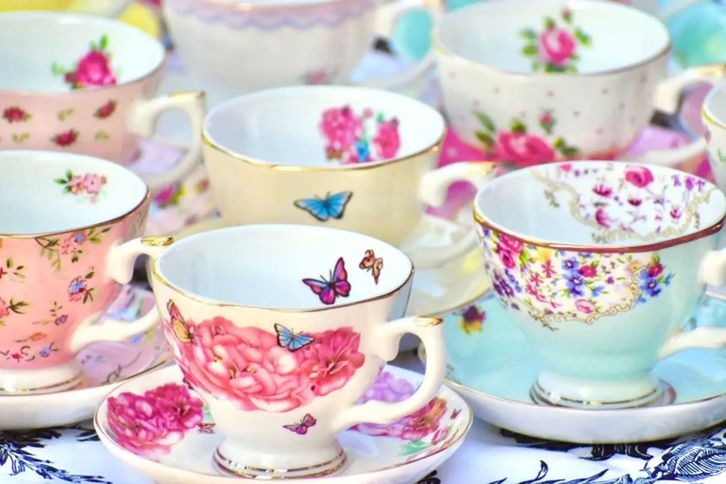 Le Menagerie - Teacup & Saucer Pair Tea party, Catering, Celebrations