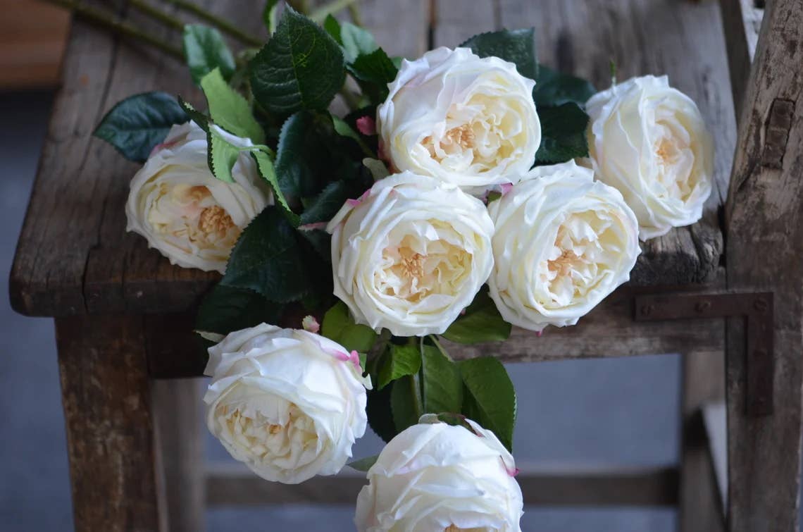 Angel Isabella - 30" 3-Head Real touch English Austin Cabbage Rose Stem