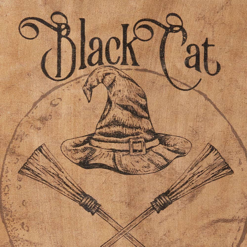 Le Menagerie - Black Cat Flying Lessons Canvas
