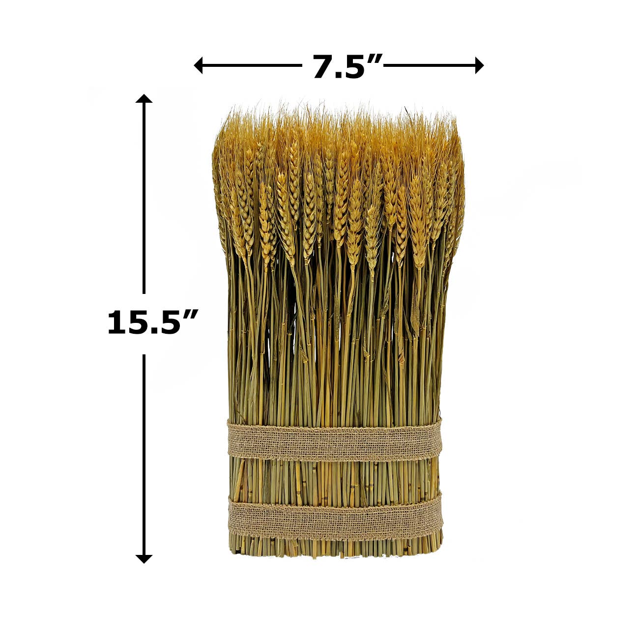 Le Menagerie - Preserved Decorative Wheat Standing Plant - Gold