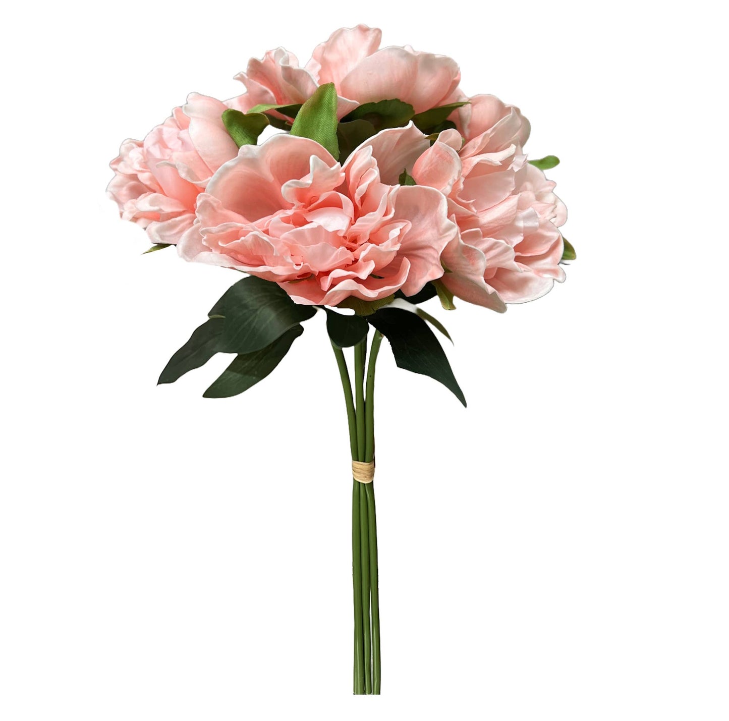 Angel Isabella - 16"-5-stem Bundled-Real Touch Peony Blossom