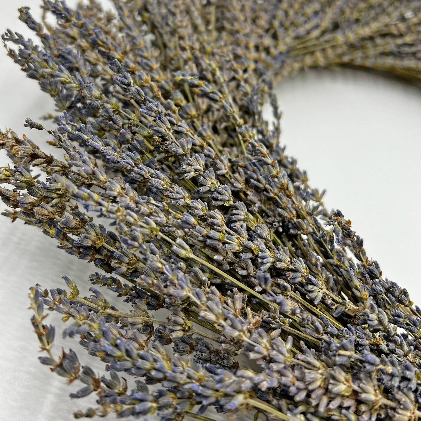 Le Menagerie - Real Preserved Dried Lavender Decorative Wreath in Purple
