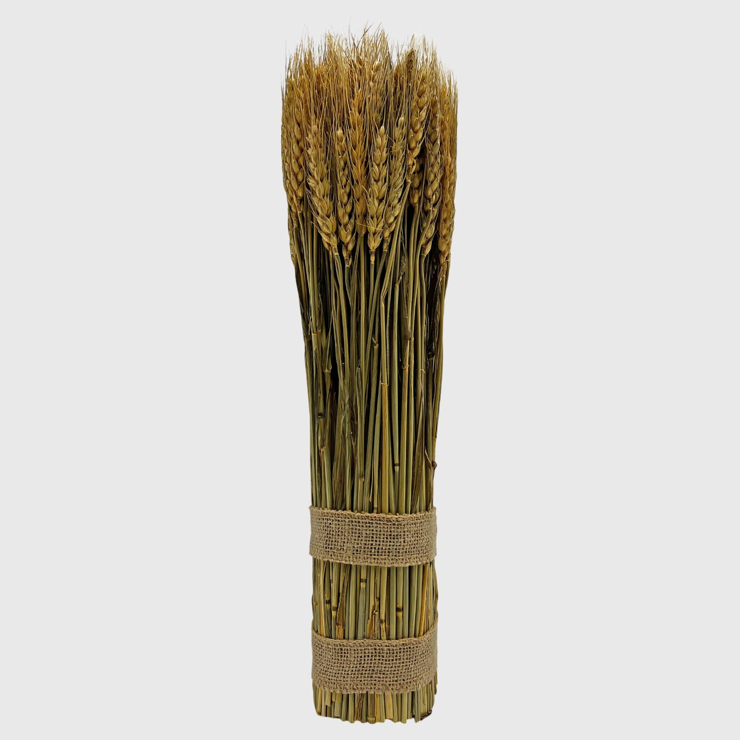 Le Menagerie - Preserved Decorative Wheat Standing Plant - Gold