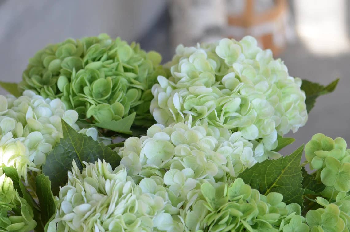 Angel Isabella - 18" Realistic Real Touch Artificial Hydrangea Stem