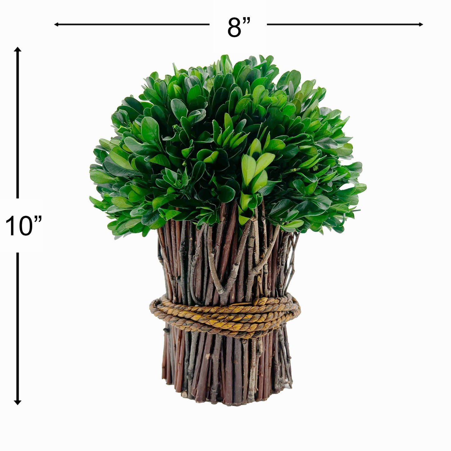 Le Menagerie - Boxwood Standing Topiary Plant