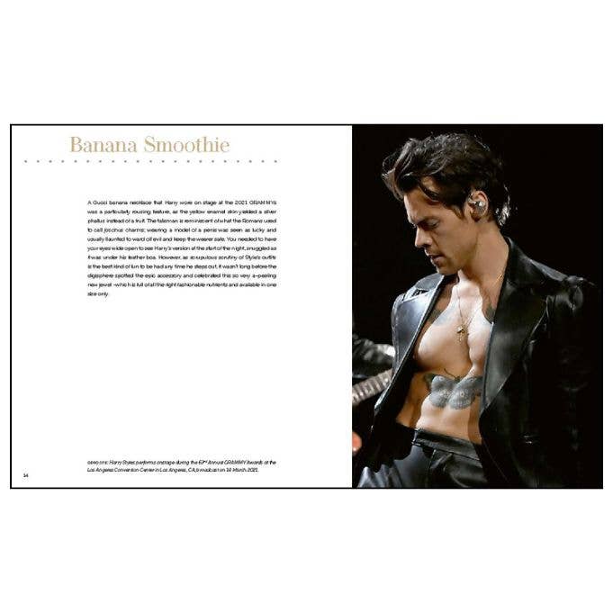 ACC Art Books Ltd - Harry Styles: and the Clothes He Wears