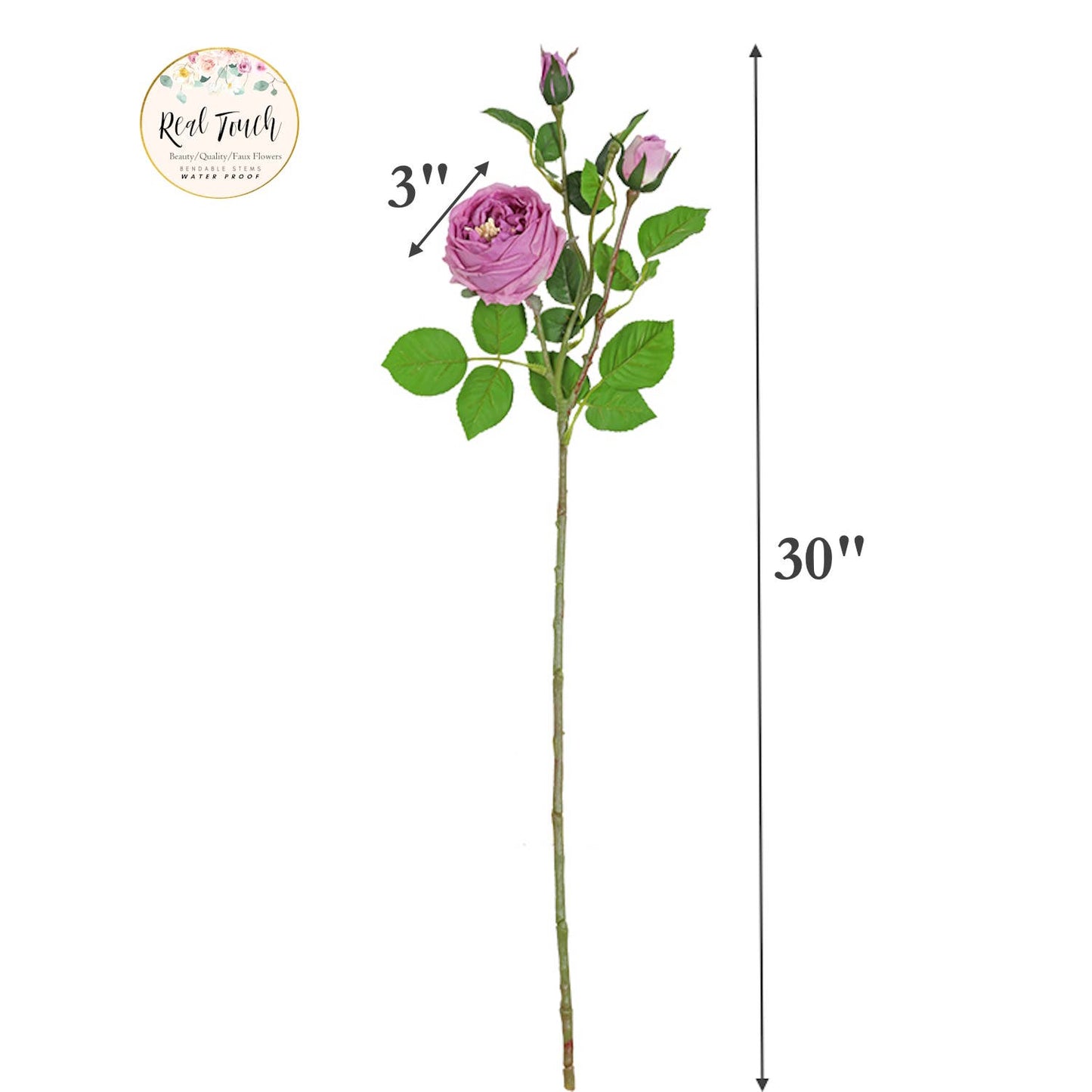 Angel Isabella - 30" 3-Head Real touch English Austin Cabbage Rose Stem