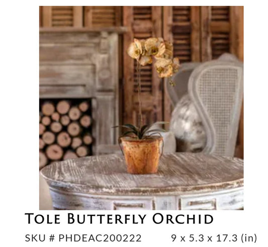 Porch View - Tole Butterfly Orchid