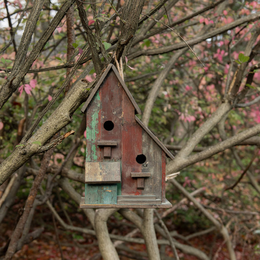 Le Menagerie - BROWN & GREEN TWO ENTRY BIRD HOUSE