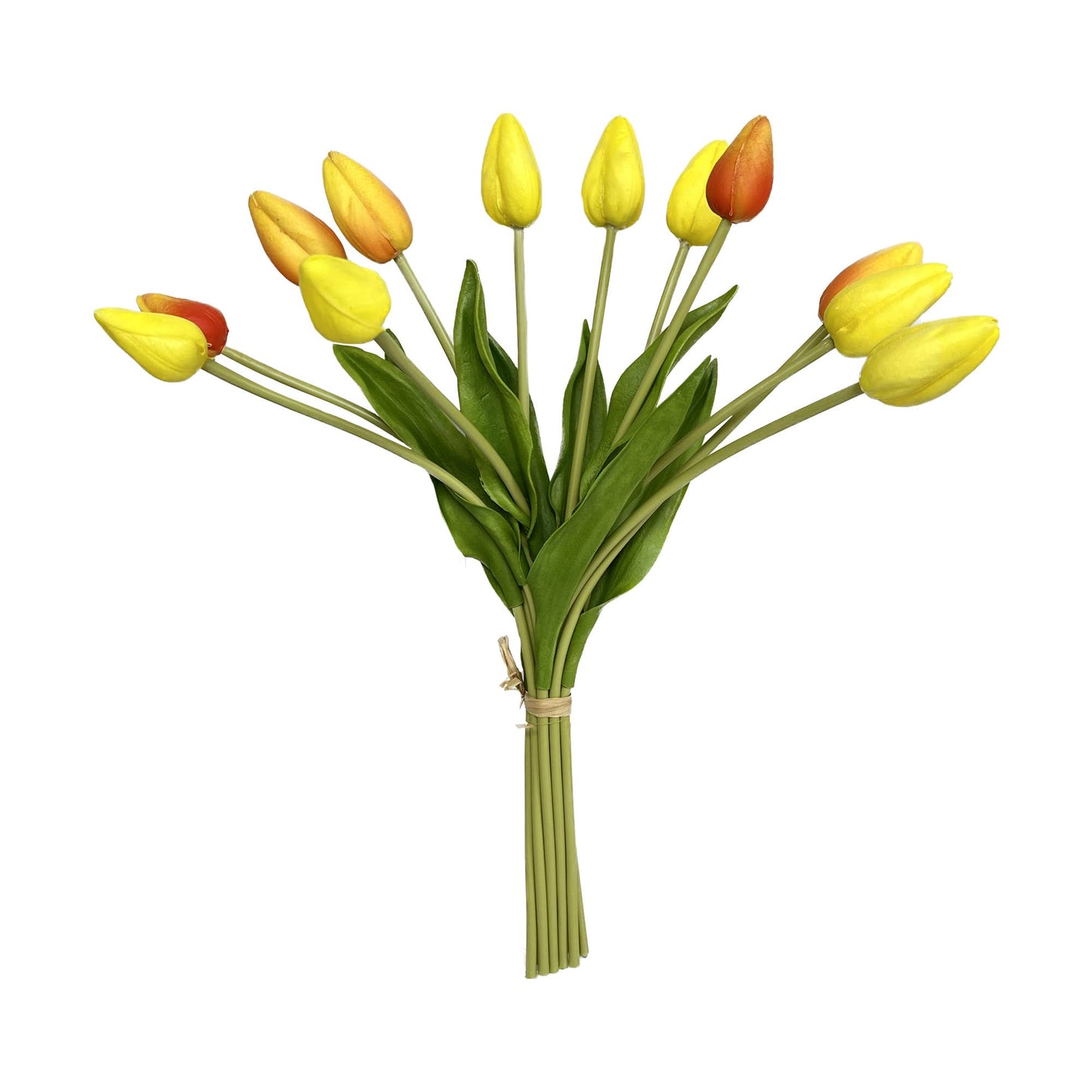 Le Menagerie - 18"-Long stem Real Touch Tulip Bud bouquet