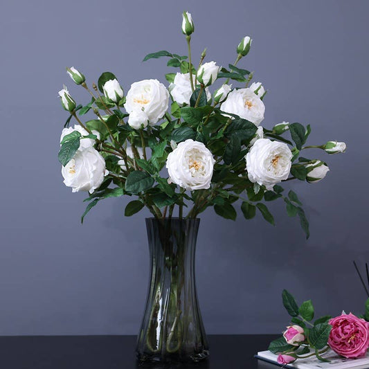 Angel Isabella - 30" 3-Head Real touch English Austin Cabbage Rose Stem