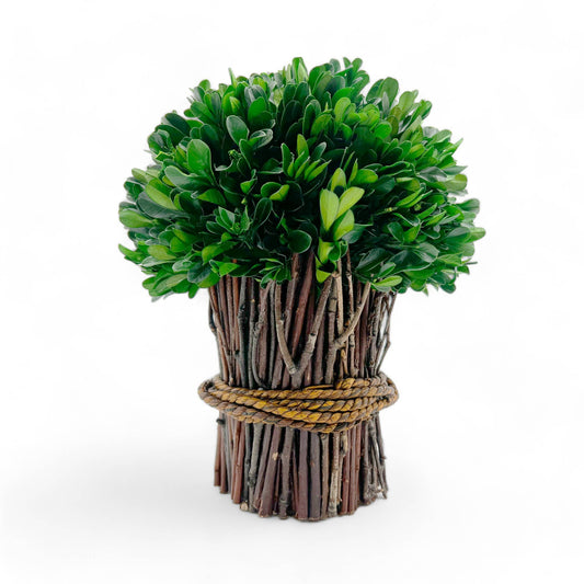 Le Menagerie - Boxwood Standing Topiary Plant