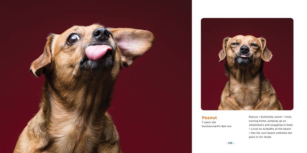 Gibbs Smith - Peanut Butter Dogs