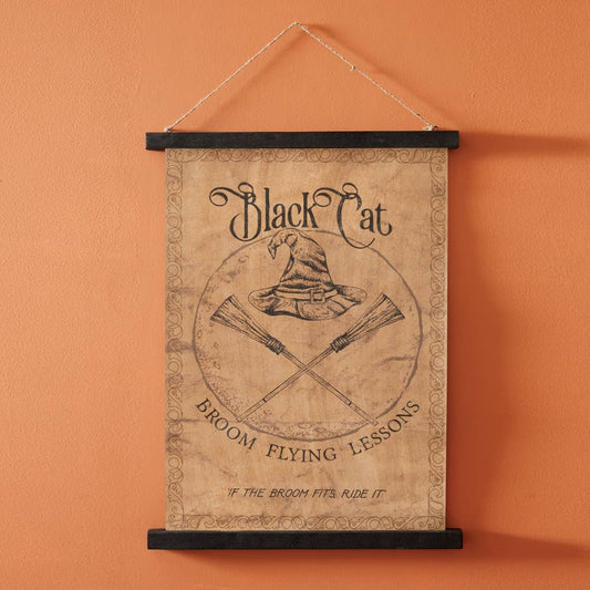 Le Menagerie  - Black Cat Flying Lessons Canvas
