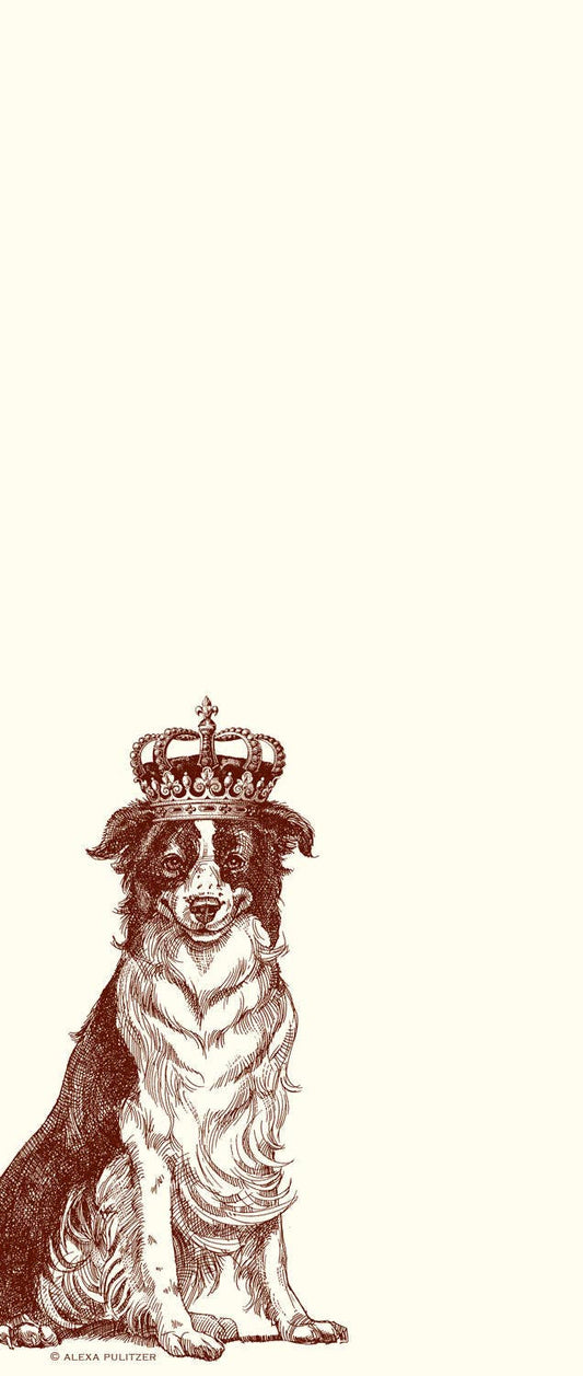 Le Alexa Pulitzer - Royal Border Collie Long Pad