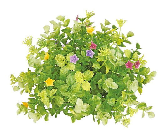 Le Menagerie - Mixed Euc, Boxwood, Flower, Half Dome, 9"