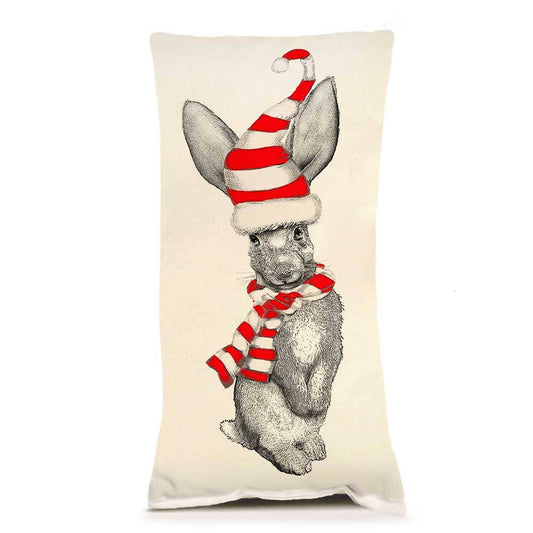 Eric & Christopher - Winter Bunny Small Pillow