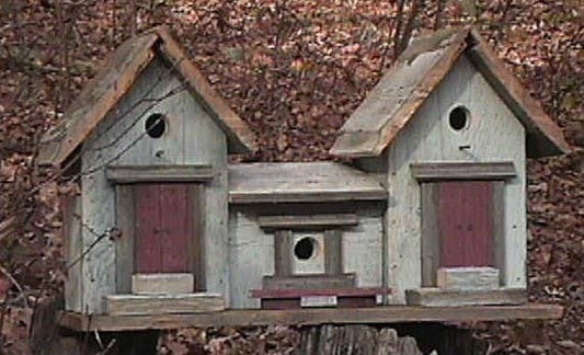 Le Menagerie - Barn Wood Birdhouse