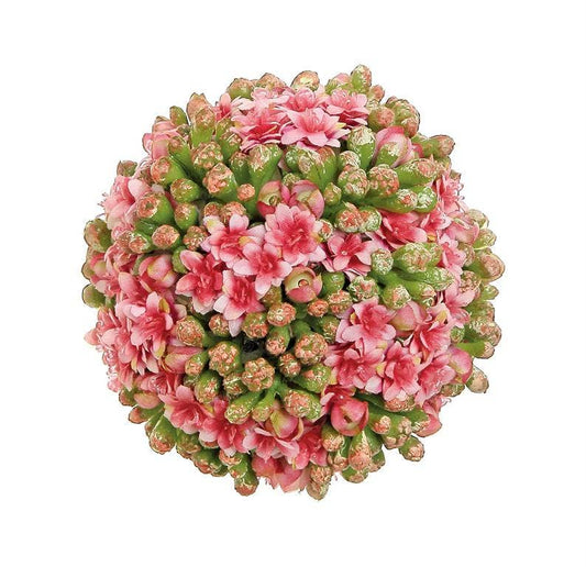 Le Menagerie - Kalanchoe Orb, 4", Pink/Green
