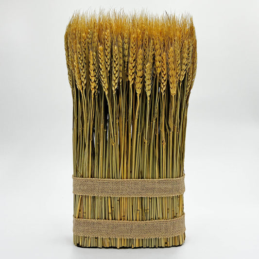 Le Menagerie - Preserved Decorative Wheat Standing Plant - Gold
