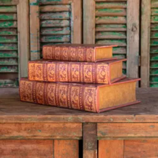 Le Menagerie - French Marbleized Brown Books (Set of 3)