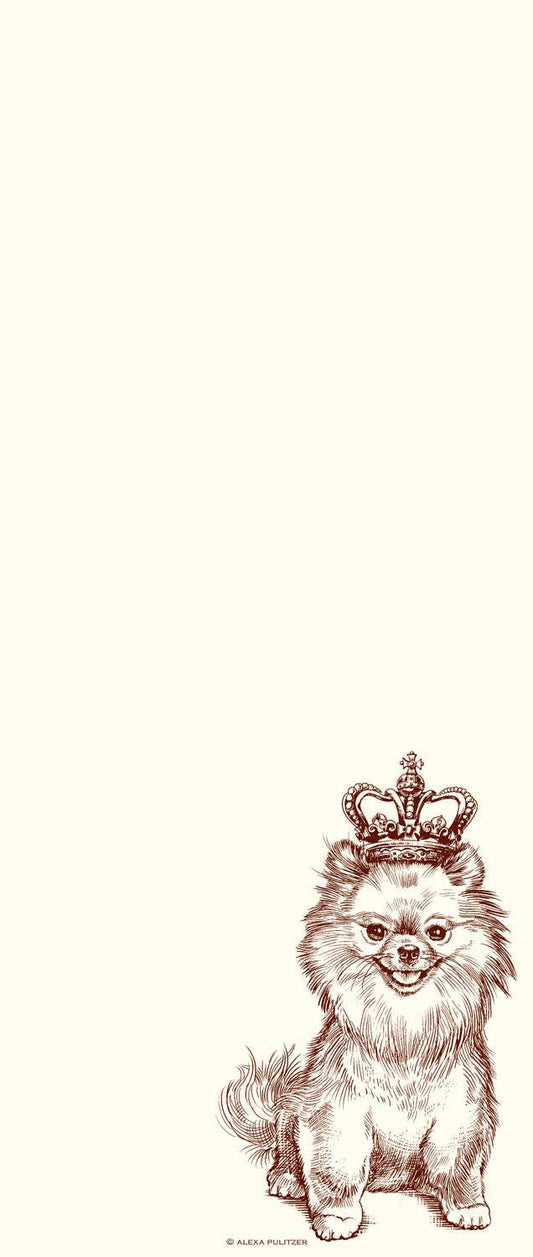 Le Alexa Pulitzer - Royal Pomeranian Long Pad