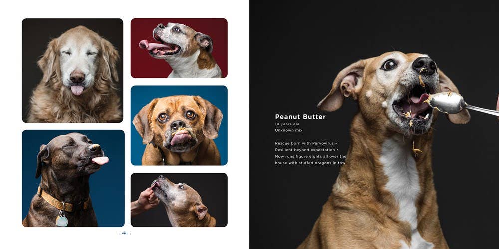 Gibbs Smith - Peanut Butter Dogs