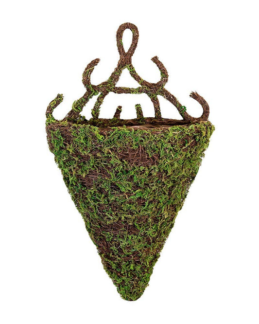 SuperMoss - Wall Sconce, Moss & Wicker, Madrid 13in Diameter